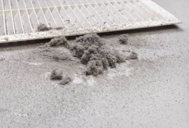 Best Emergency Air Duct Cleaning  in Greenville, SC