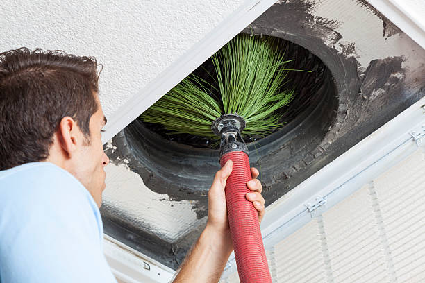 Best Emergency Air Duct Cleaning  in Greenville, SC