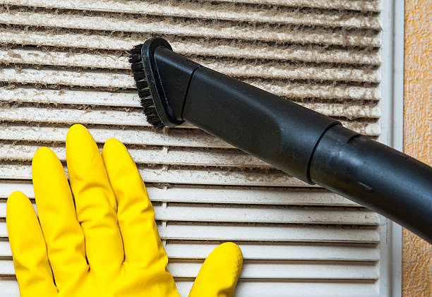 Best HVAC Duct Inspection Services  in Greenville, SC